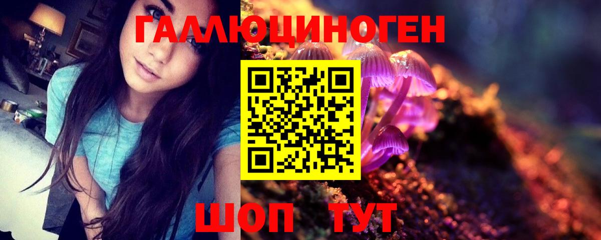 Псилоцибиновые грибы Magic Shrooms  Галлюциногенные грибы мухоморы  Ульяновск  Вход с VPN 